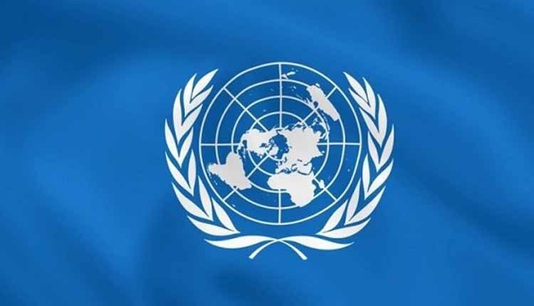 دو کارشناس ارشد سازمان ملل متحد