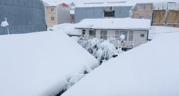 وضعیت بحرانی گیلان ، بعد از بارش برف و کولاک ۸تن کشته و ۱۴۷تن مصدوم شدند